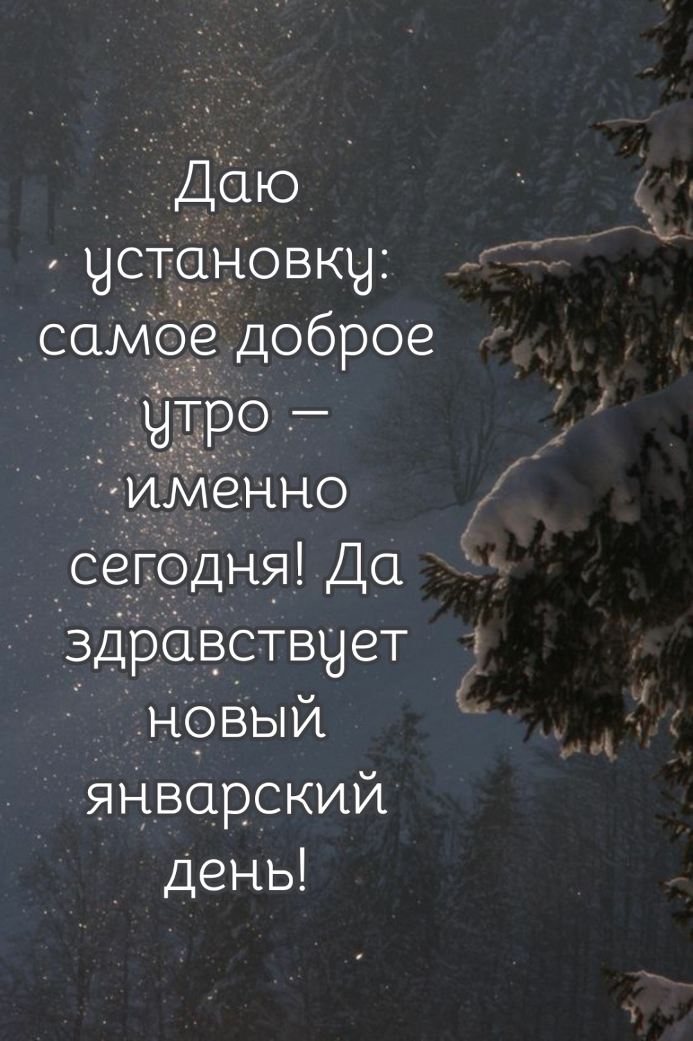 Да здравствует новый январский день!