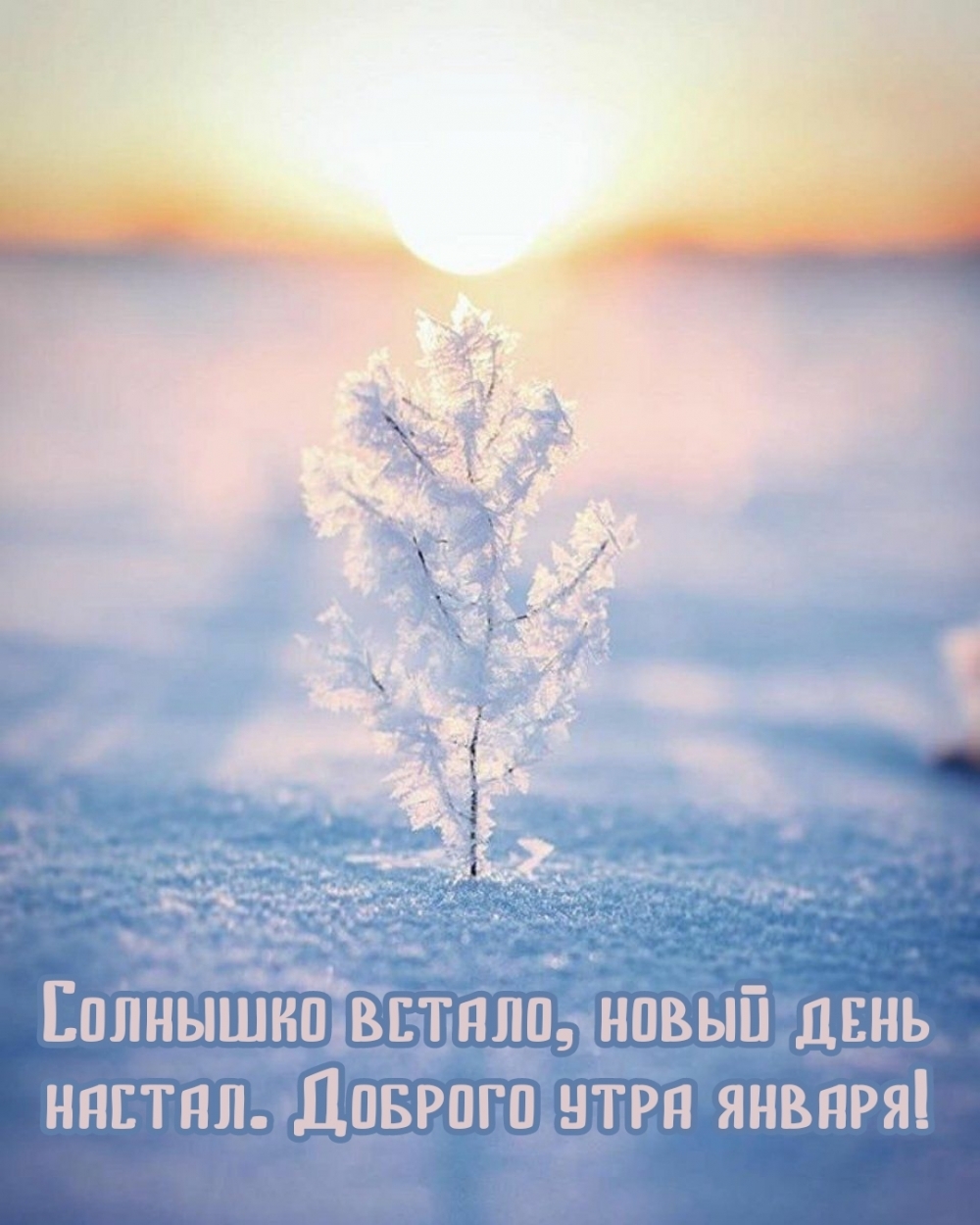 Солнышко встало, новый день настал. Доброго утра января!