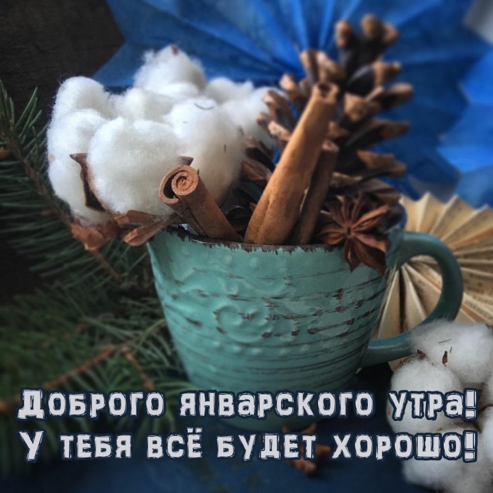 Доброго январского утра! У тебя всё будет хорошо!