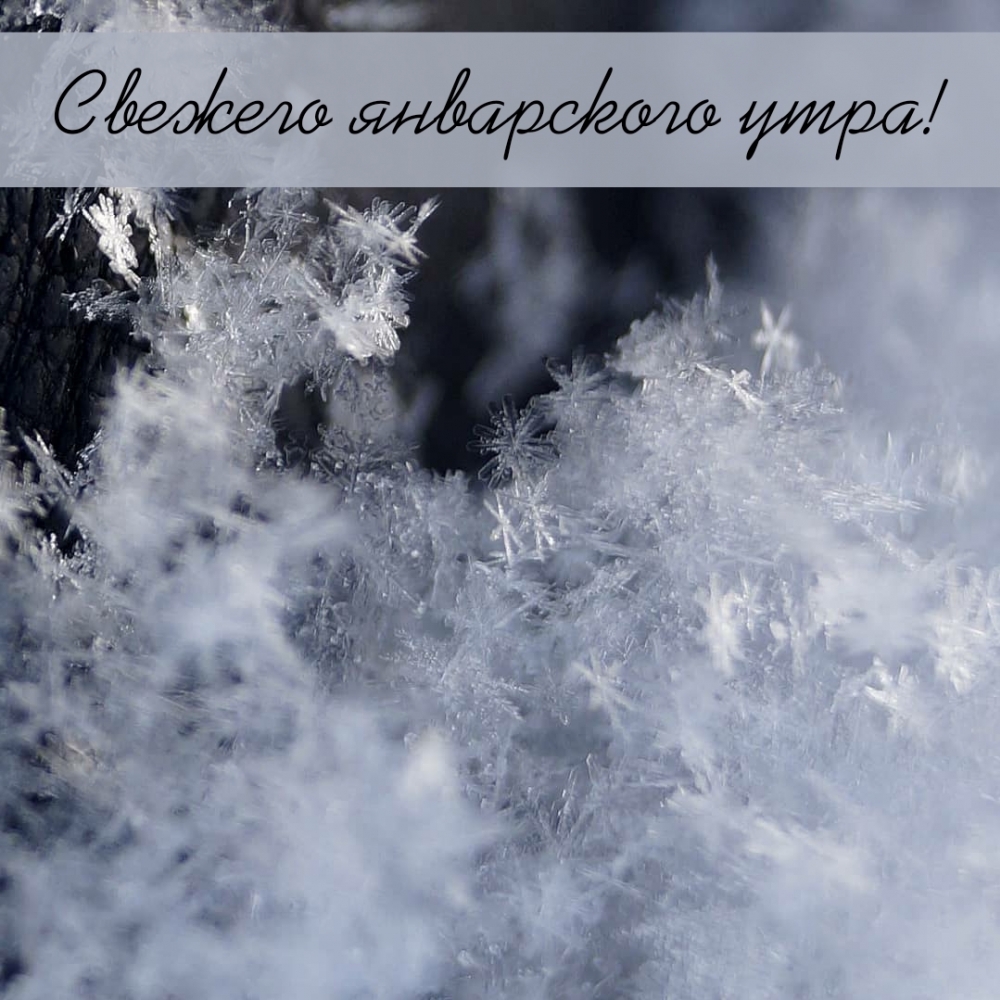Свежего январского утра!