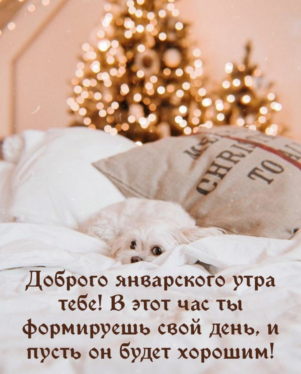 Доброго январского утра тебе!