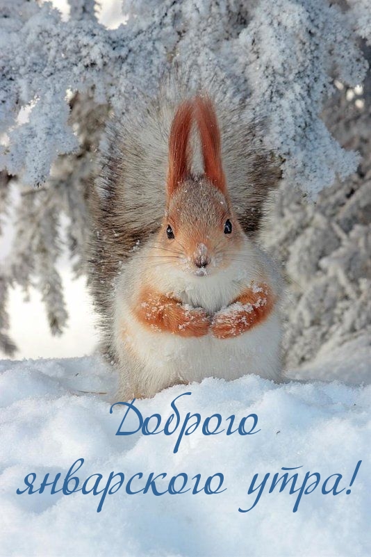 Доброго январского утра!