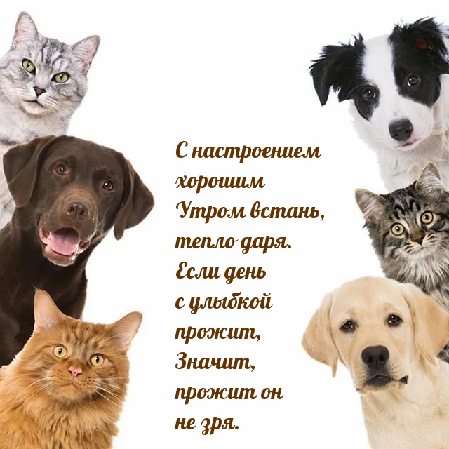 С настроением хорошим утром встань, тепло даря.