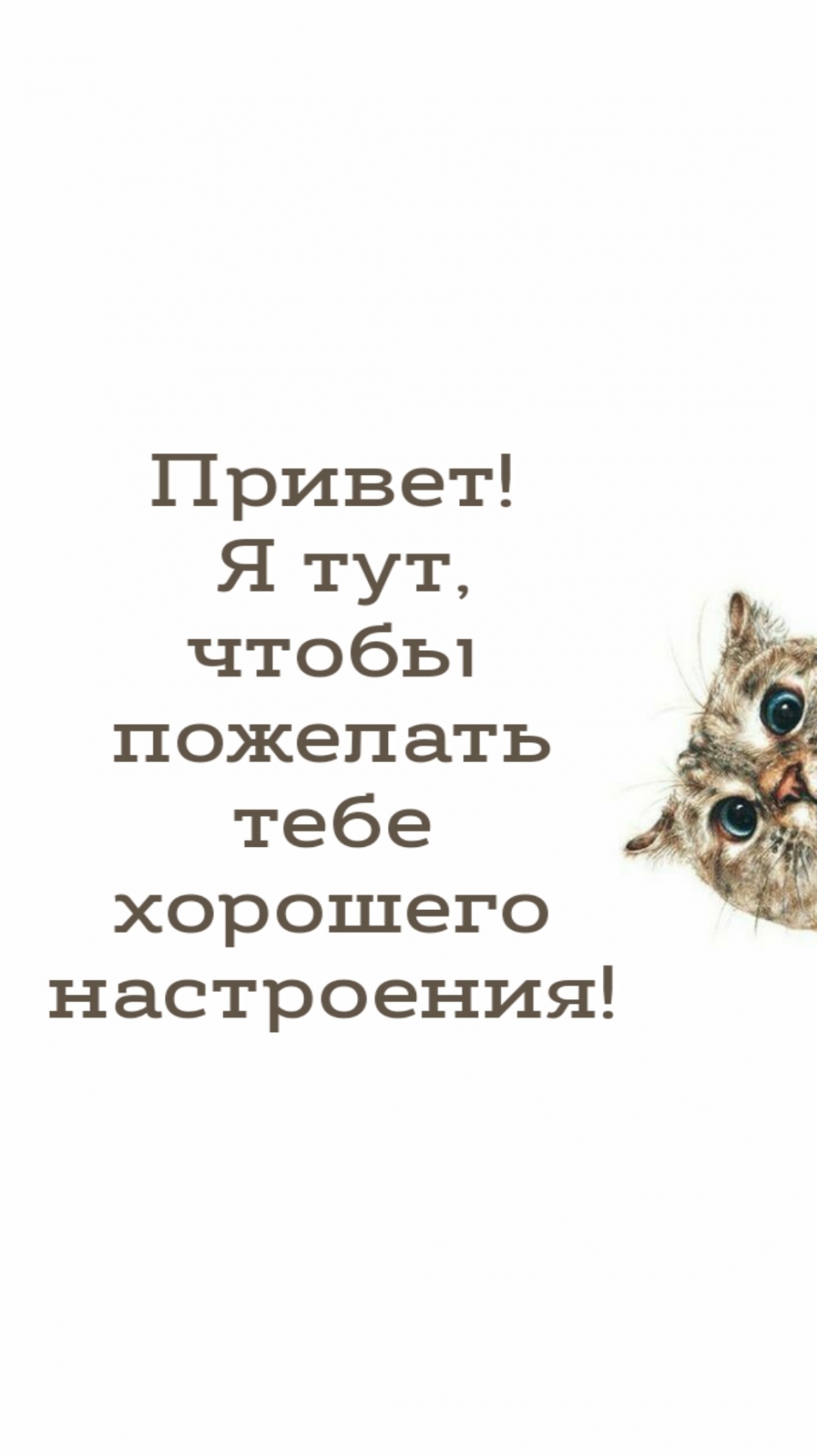 Привет! Я тут, чтобы пожелать тебе хорошего настроения!