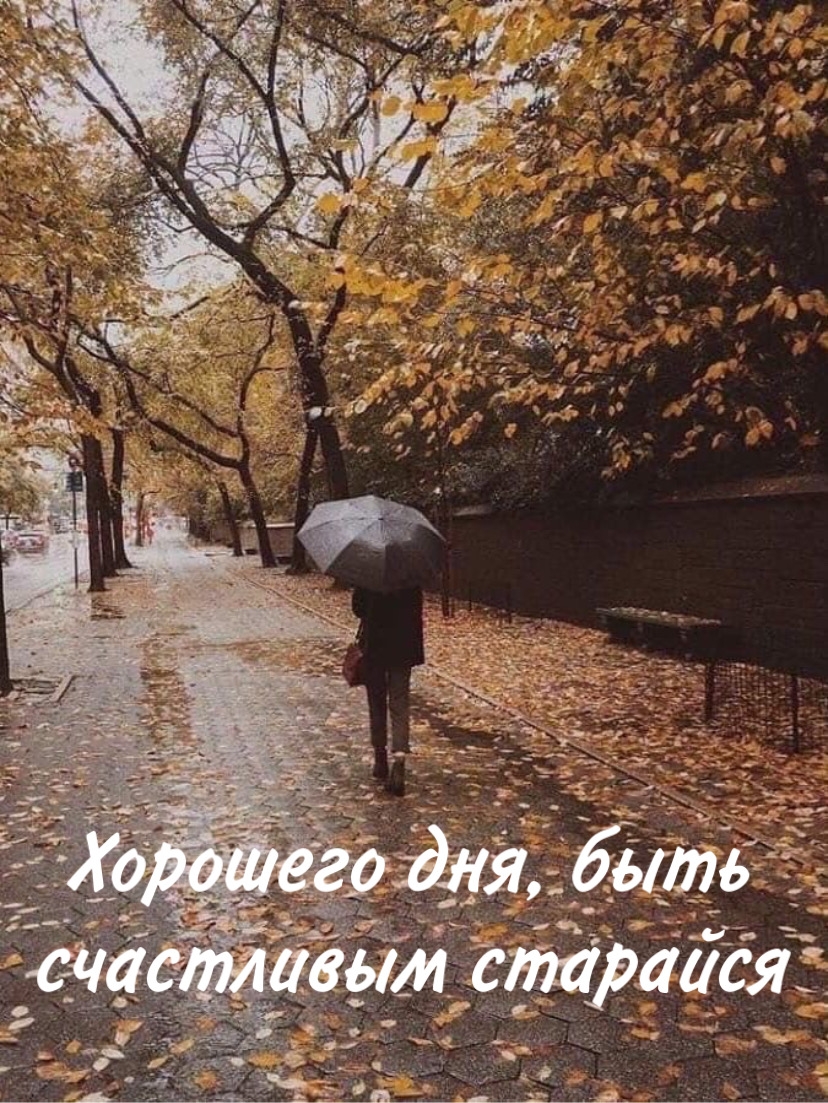 Картинка - Хорошего дня, быть счастливым старайся.