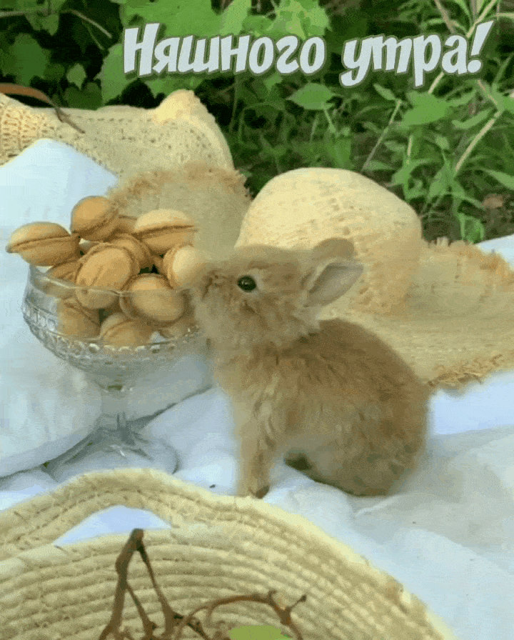Няшного утра!