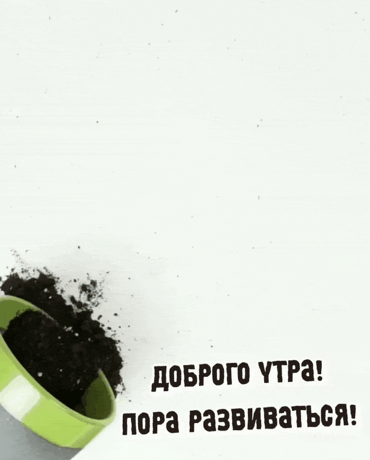 Доброго утра! Пора развиваться!