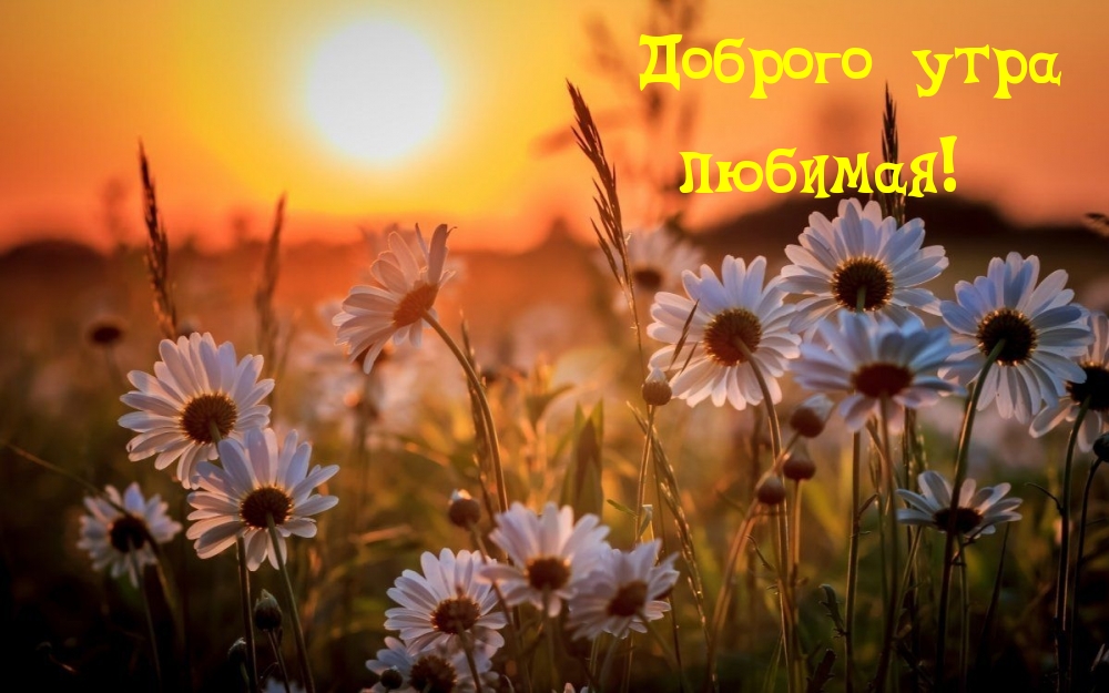 Доброго утра любимая!