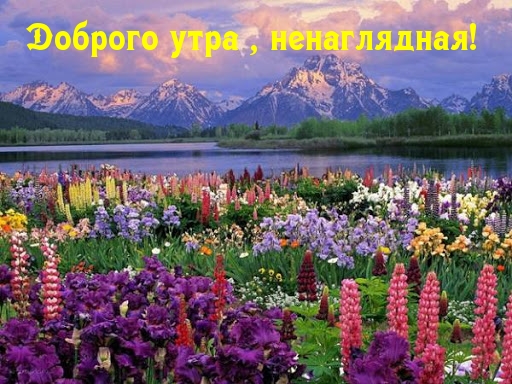Картинка - Доброго утра , ненаглядная!.
