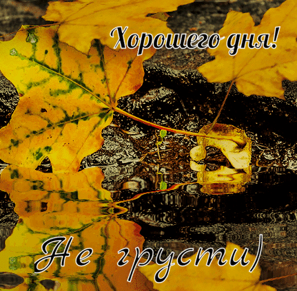 Хорошего дня! Не грусти)