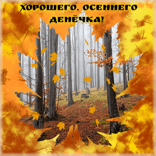 Хорошего, осеннего денёчка!
