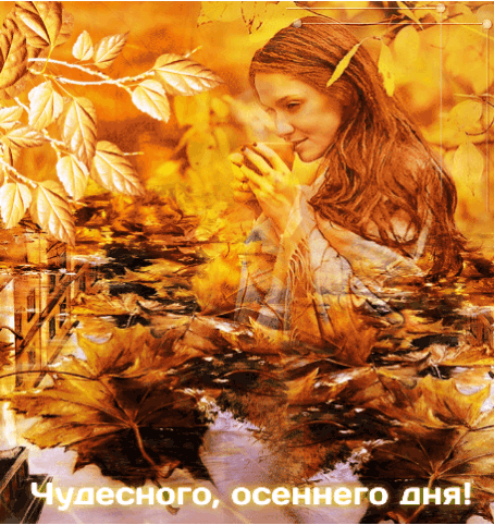 Чудесного, осеннего дня!