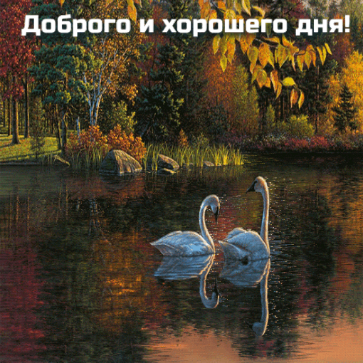 Доброго и хорошего дня!