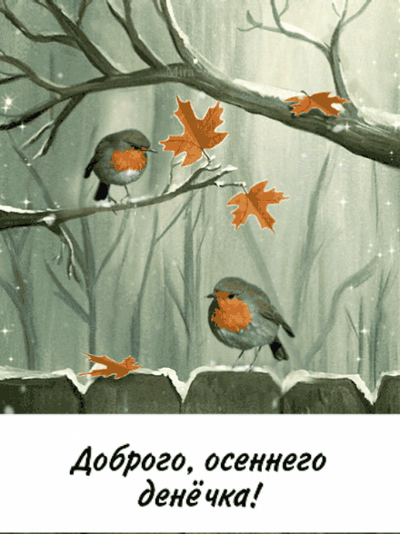 Доброго, осеннего денёчка!