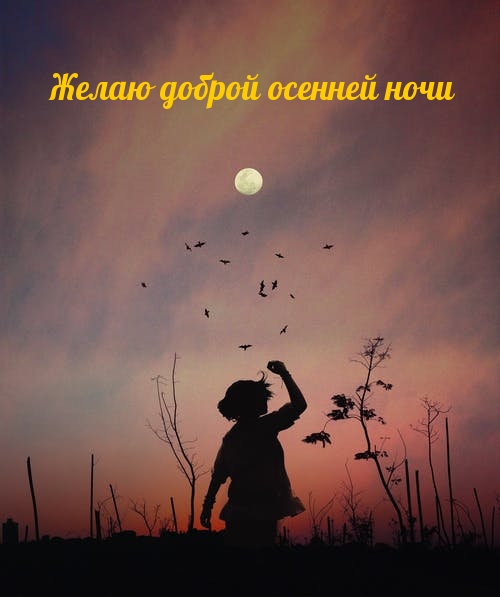 Картинка - Желаю доброй осенней ночи.