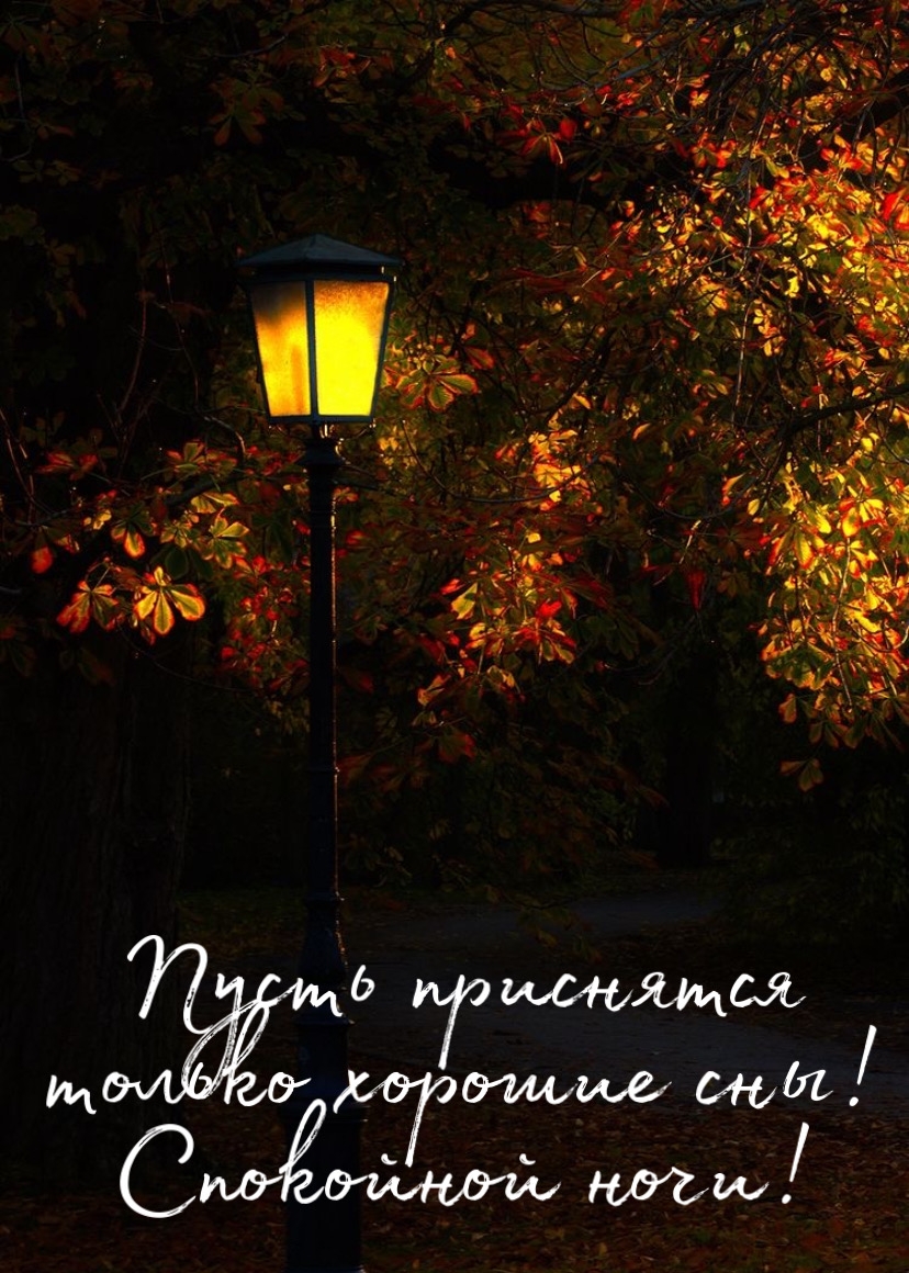 Картинка - Пусть приснятся только хорошие сны! Спокойной ночи!.