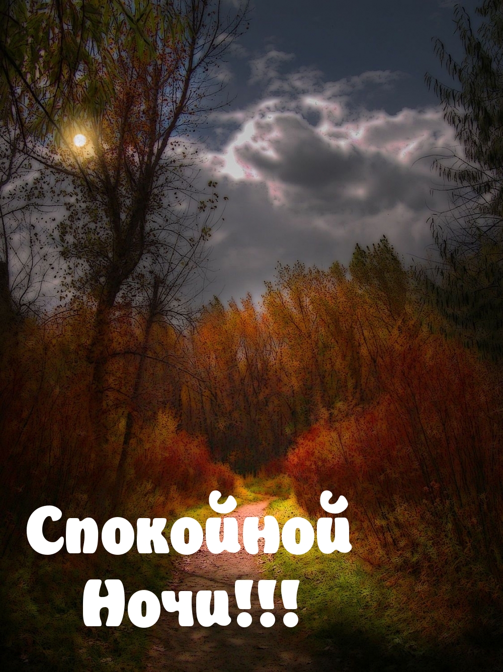 Картинка - Спокойной Ночи!.