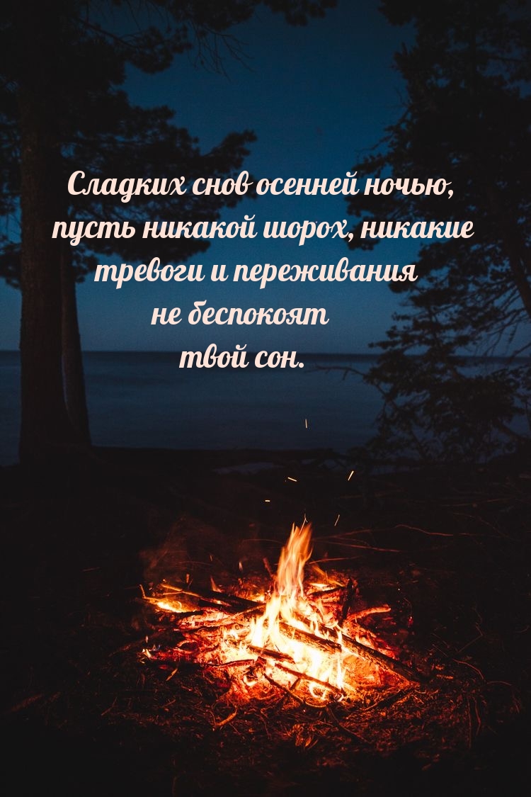 Картинка - Сладких снов осенней ночью.
