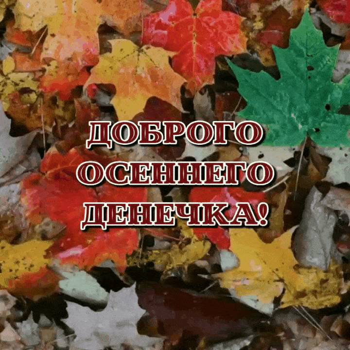 Картинка - Доброго осеннего денечка!.