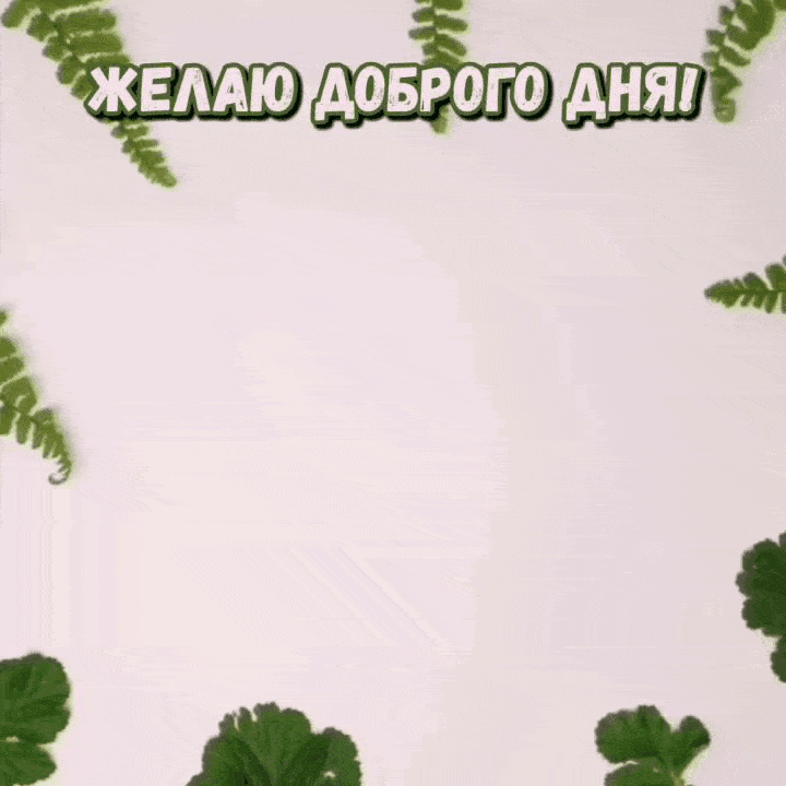 Желаю доброго дня!