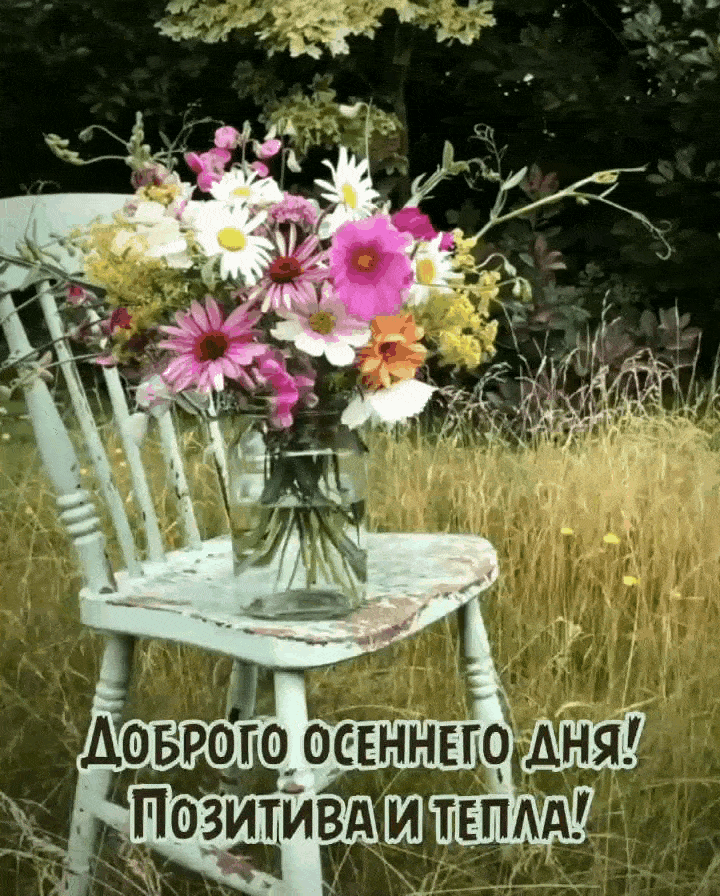 Доброго осеннего дня!