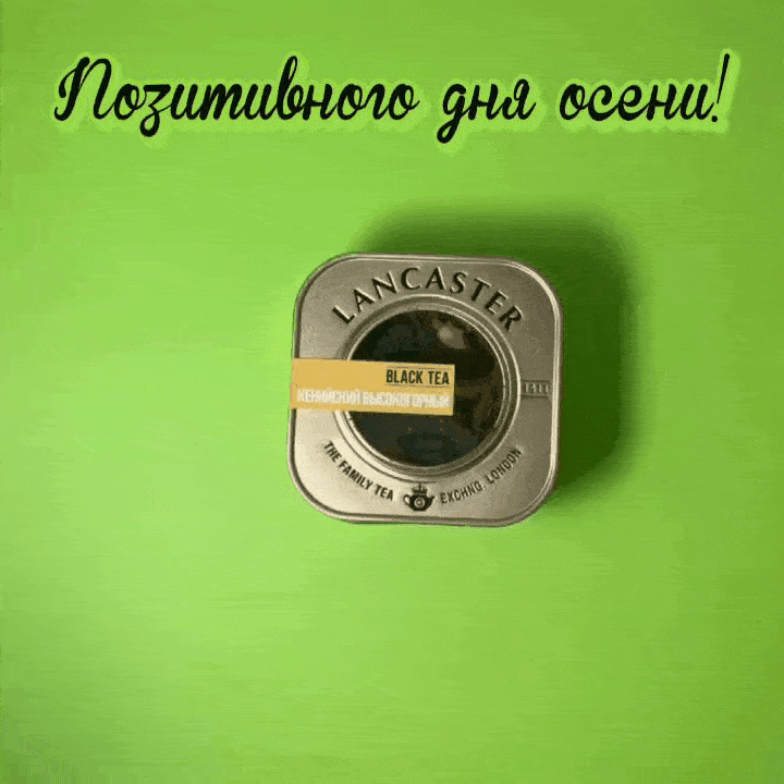 Позитивного дня осени!