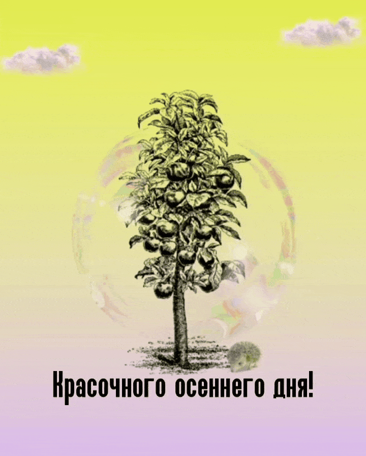 Красочного осеннего дня!