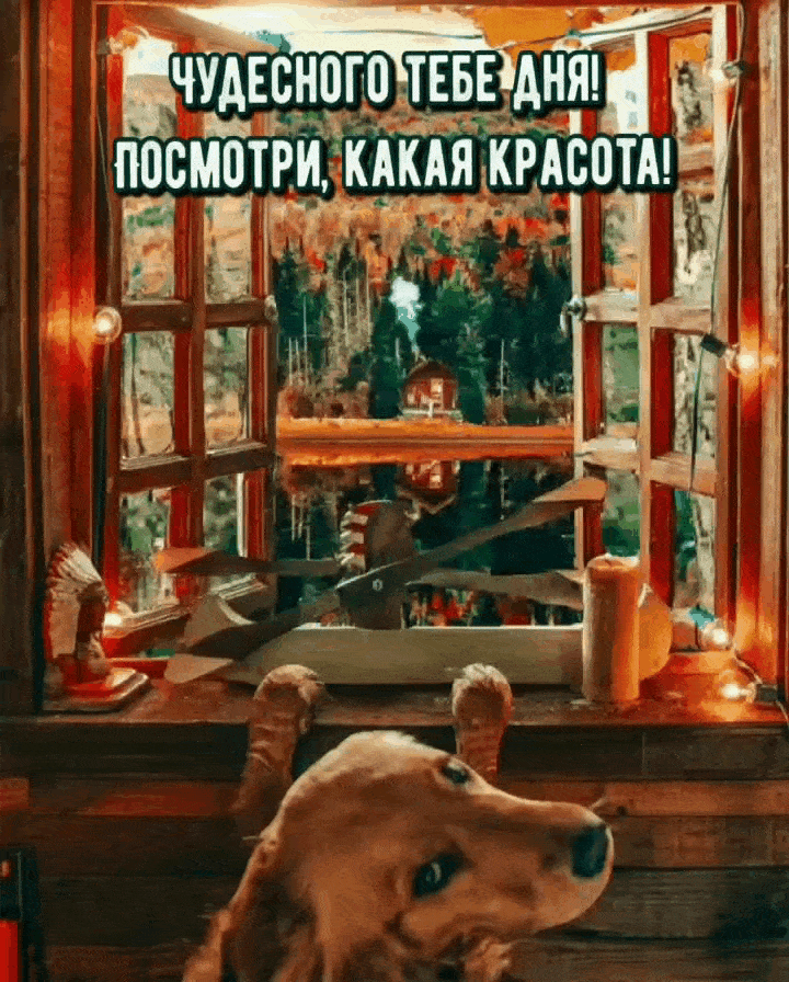 Чудесного тебе дня!