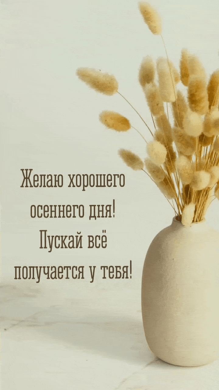 Желаю хорошего осеннего дня!