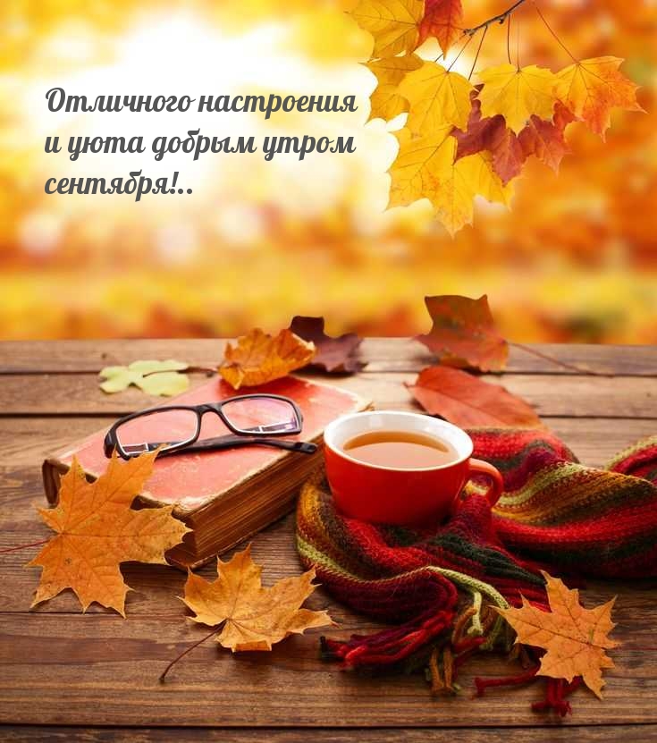 Отличного настроения и уюта добрым утром сентября!..