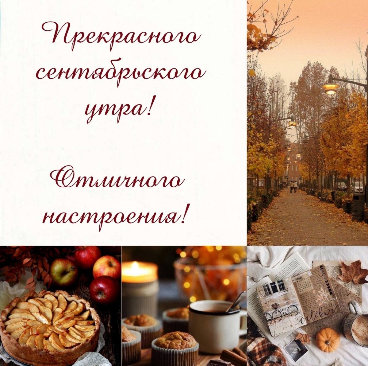 Прекрасного сентябрьского утра! Отличного настроения!