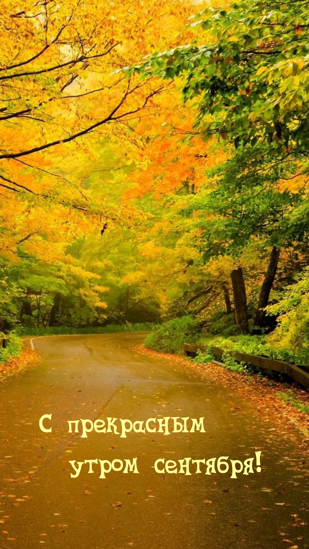 С прекрасным утром сентября!