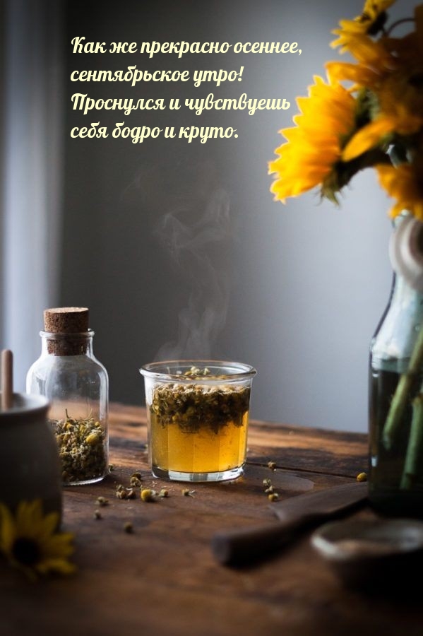 Как же прекрасно осеннее, сентябрьское утро!