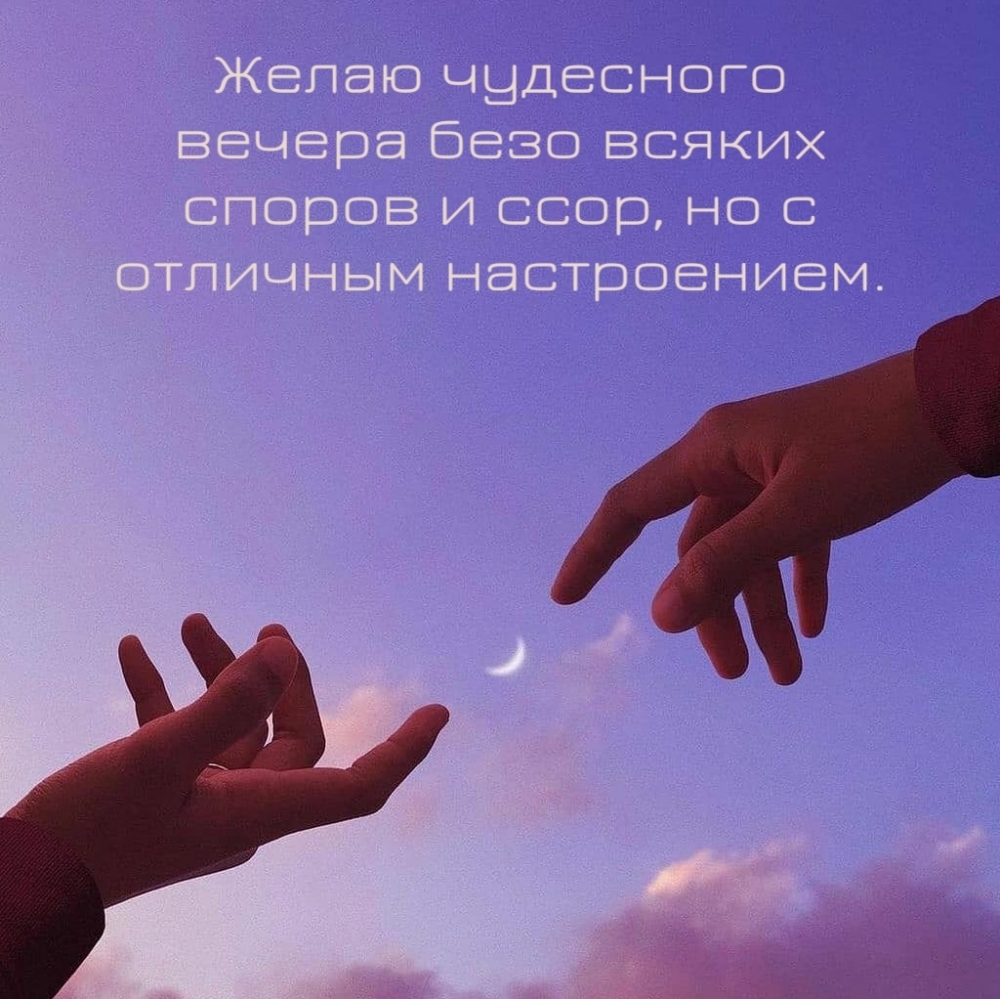 Желаю чудесного вечера безо всяких споров и ссор