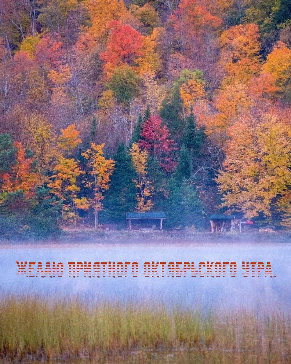Желаю приятного октябрьского утра.