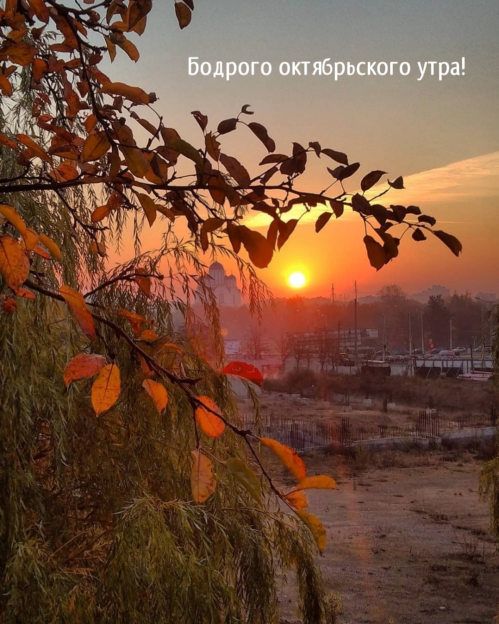 Картинка - Бодрого октябрьского утра!.