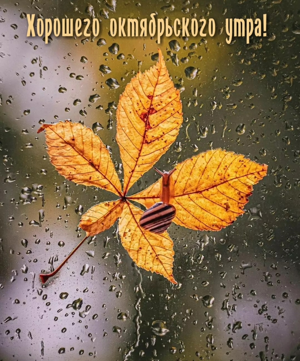 Картинка - Хорошего октябрьского утра!.