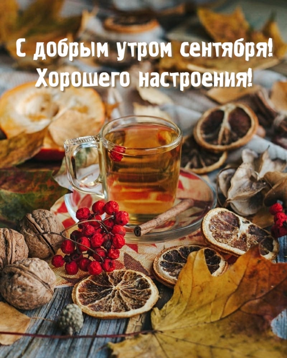 С добрым утром сентября! Хорошего настроения!