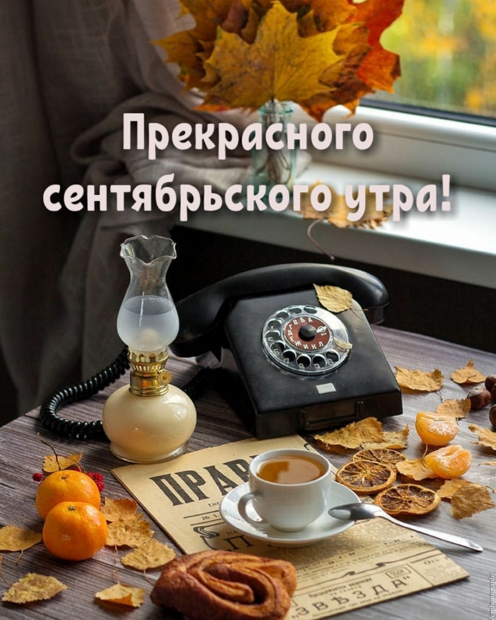 Прекрасного сентябрьского утра!