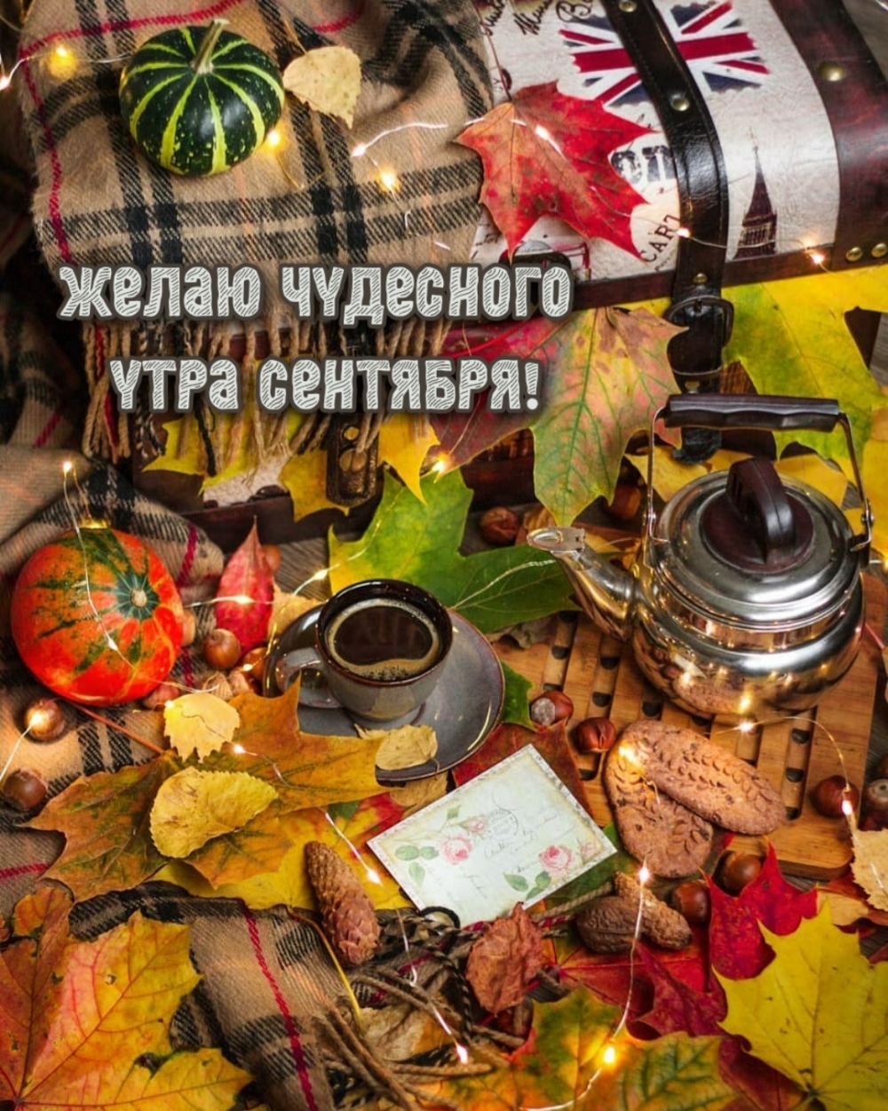 Желаю чудесного утра сентября!