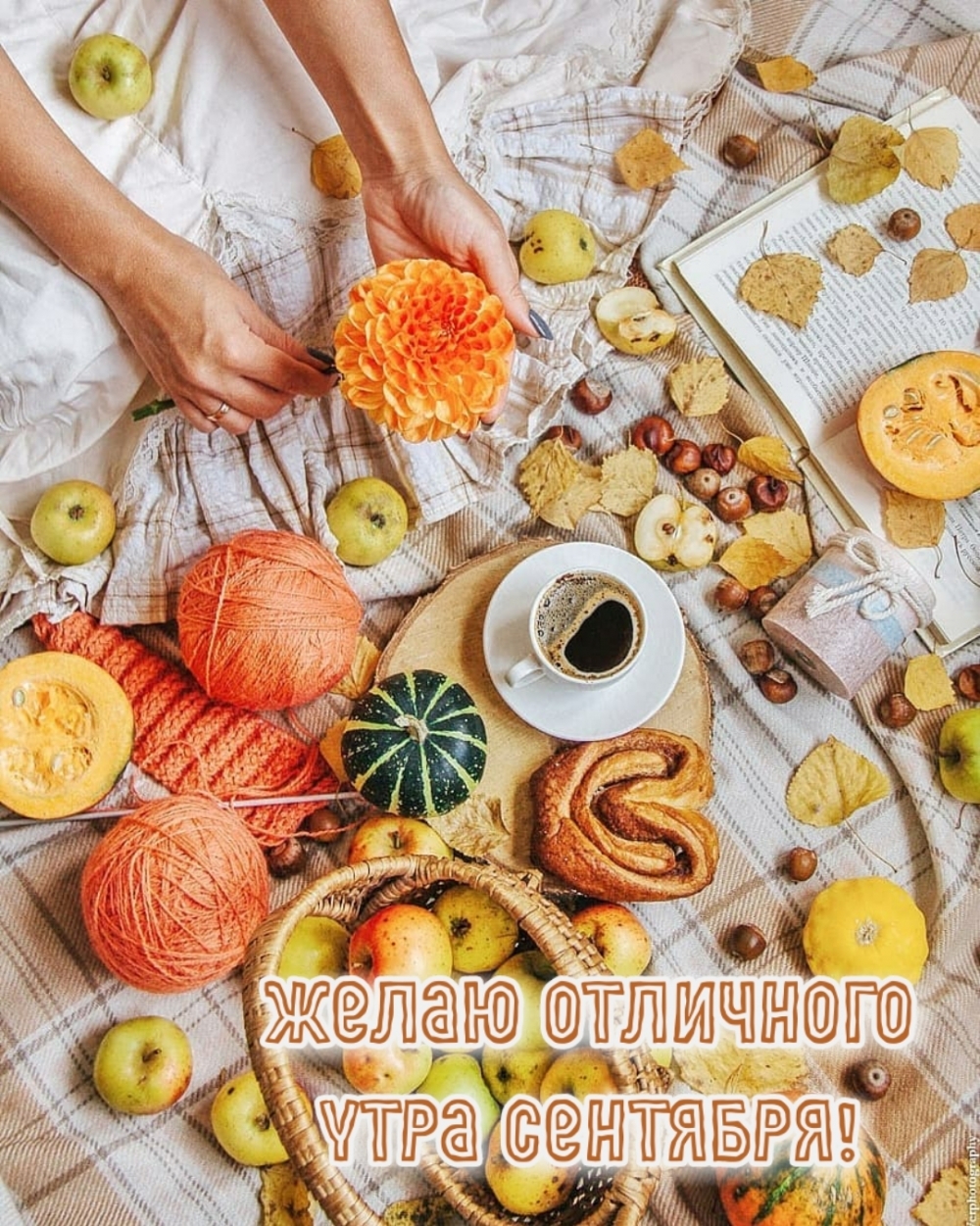 Желаю отличного утра сентября!