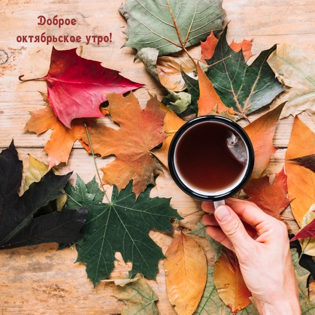 Доброе октябрьское утро!