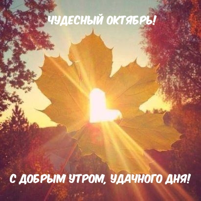 Чудесный октябрь! С добрым утром, удачного дня!