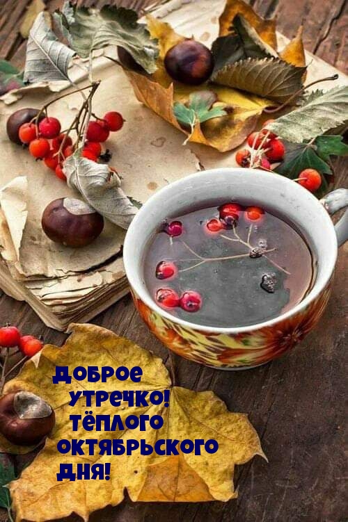 Доброе утречко! Тёплого октябрьского дня!