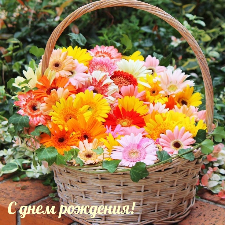 С днем рождения!