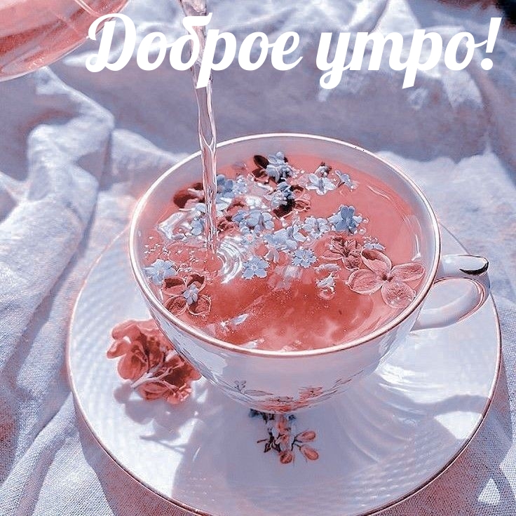 Доброе утро!