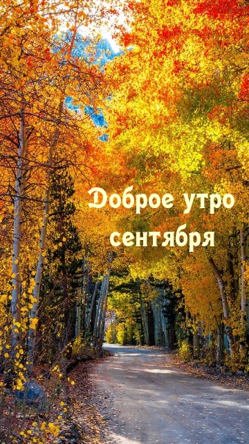 Доброе утро сентября