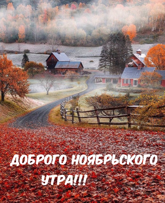 Доброго ноябрьского утра!