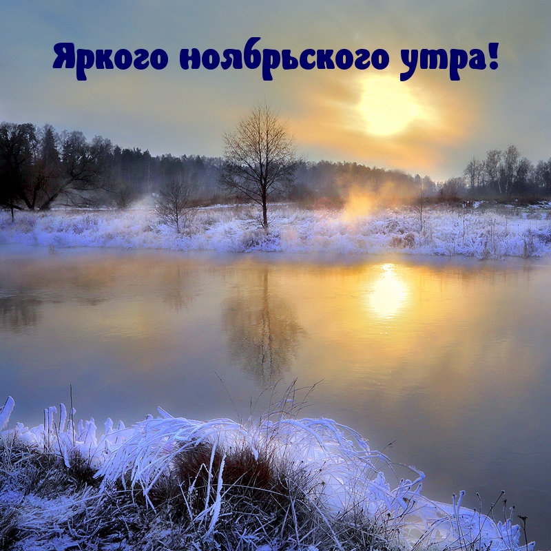 Яркого ноябрьского утра!