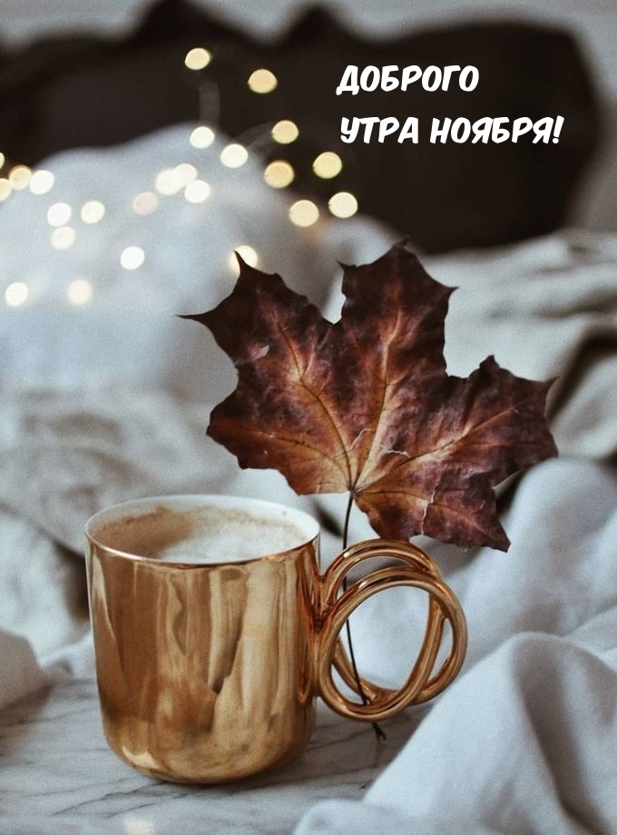 Доброго утра ноября!